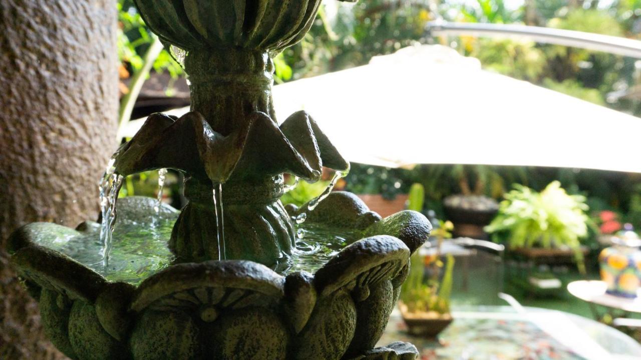 El Jardin Del Eden B&B Boutique Cuernavaca Exterior foto